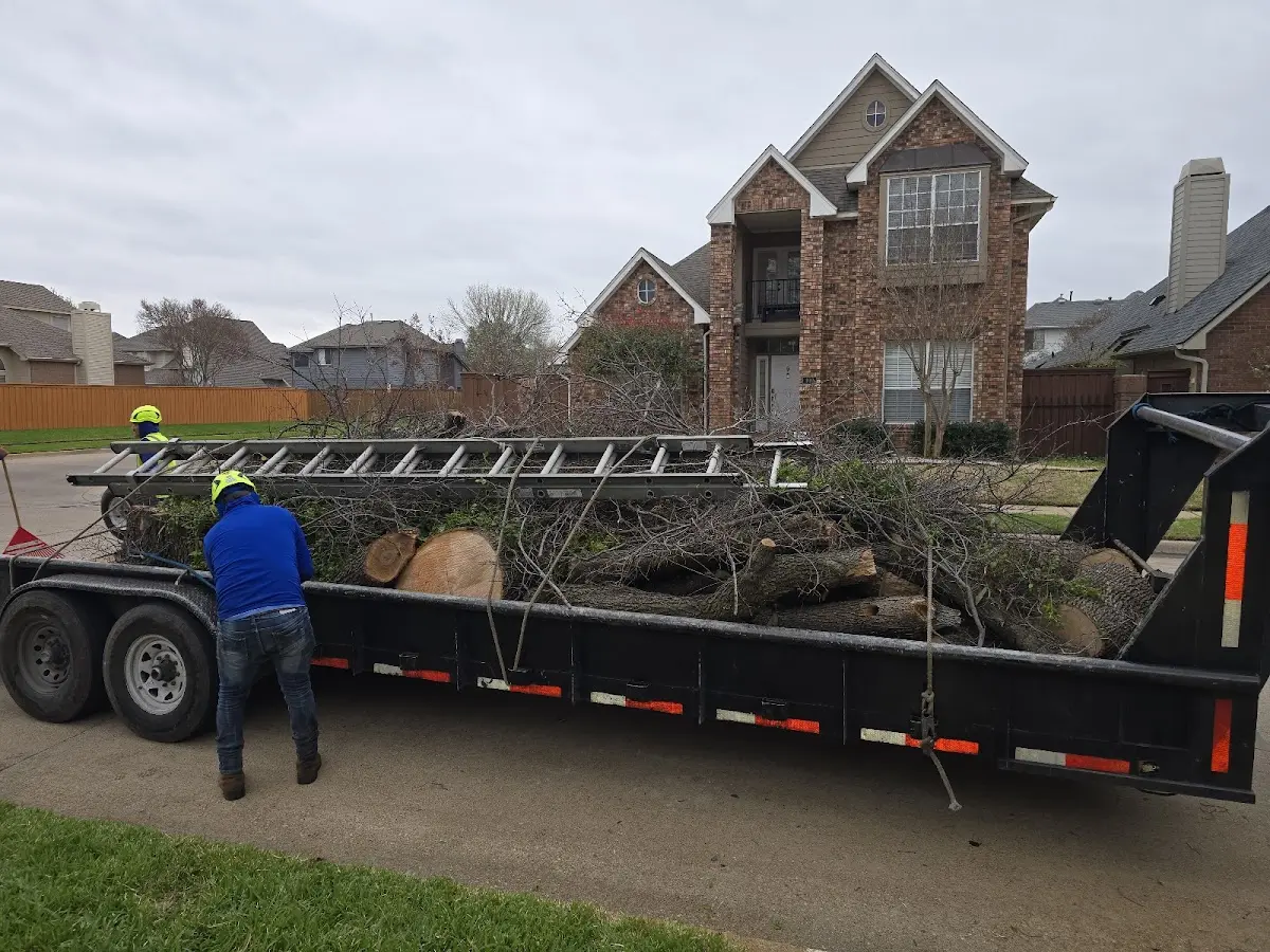 Expert Tree Fertilization with proper safety equipment in Nehawka